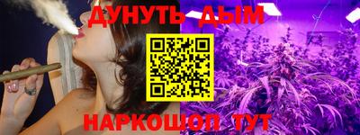стафф Краснознаменск