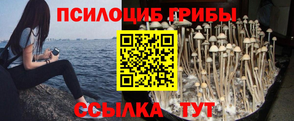 Каменск-Уральский  Галлюциногенные грибы Cubensis  Вход с VPN 
